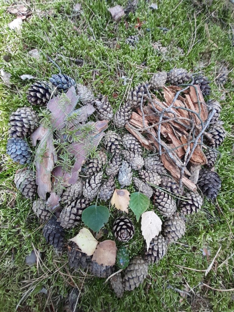 Kinder erkunden den Wald